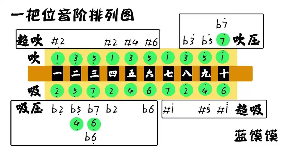 布鲁斯口琴#学习打卡