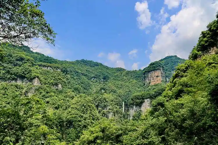 兰草谷风景