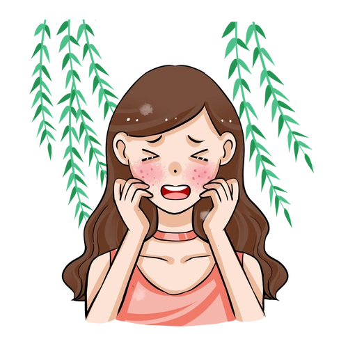 花粉过敏会呼吸的痛