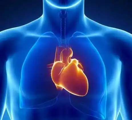 4,如果心脏有了毒素表现在哪里?