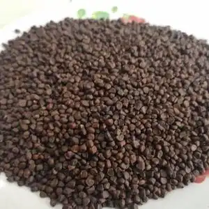 中药材  马兰子  别名:马蔺籽  马莲子  马楝子  马帚籽  500克