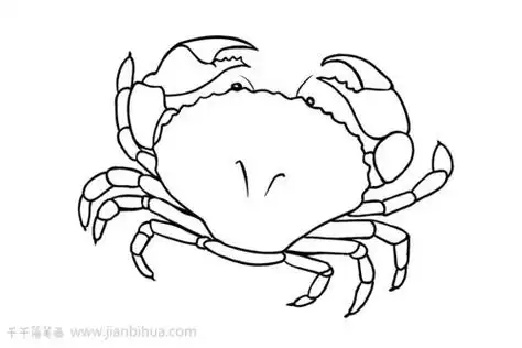 简笔画螃蟹涂色简笔画螃蟹的简单画法