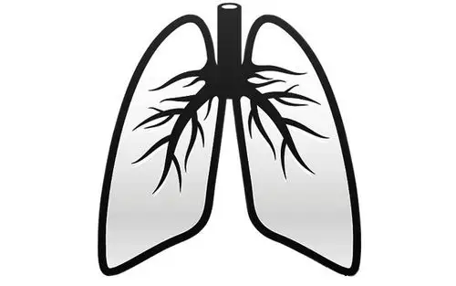 养肺也能养容颜吗?