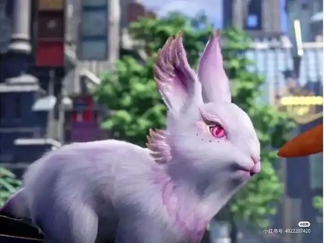 你们喜欢美情兔还是柔骨兔