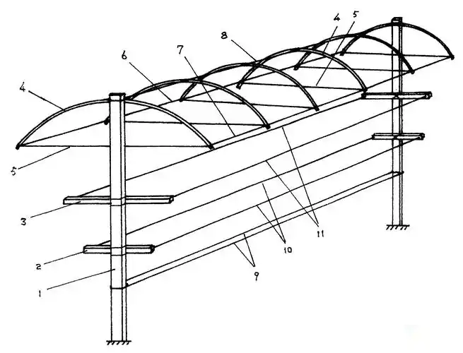 搭建葡萄架,这几种小技巧,你还不知道吧