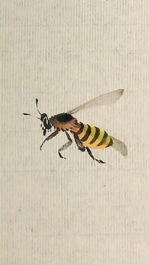 生活平淡用心就会发光创作灵感画画国画蜜蜂