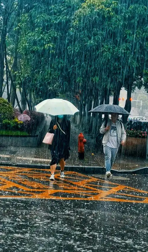 下雨天雨中人