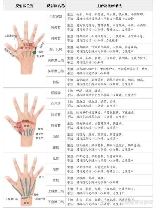 手部反射区图谱