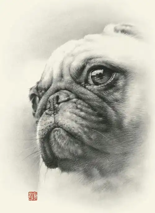 家昌动物素描鉴赏