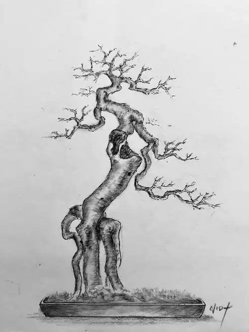 手绘盆景设计图