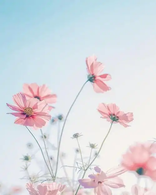 整理了一些关于想要一个人静静的心情说说句子,欢迎大家阅读!