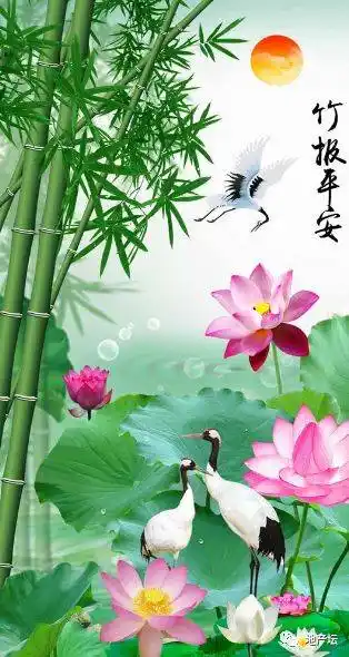 中老年头像大全竹报平安连年有余的微信头像壁纸