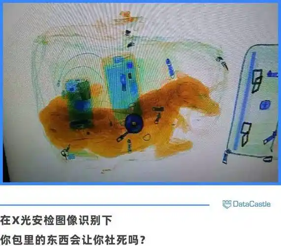 千万别带一些奇怪的东西过x光安检