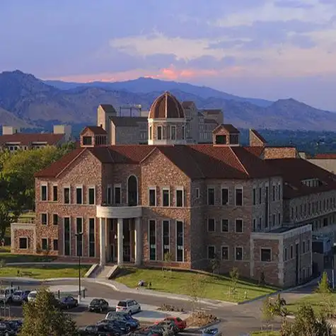 深圳纯艺术留学哪个好纯艺术留学哪个大学好你需要了解一下