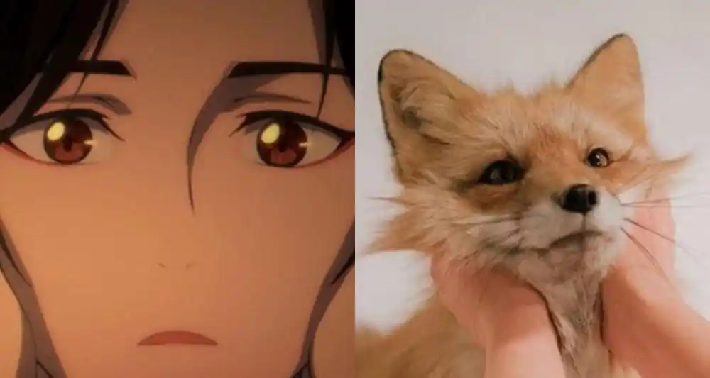 《天官赐福》花城像小狐狸,笑起来好可爱,快点开口喊哥哥!