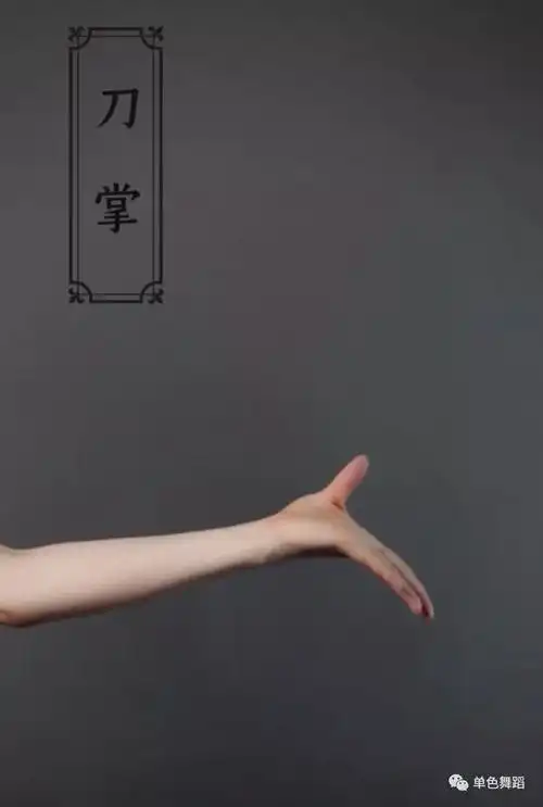 古典舞入门带你认识古典舞中的手型