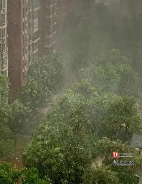 福州一秒天黑,狂风暴雨!还没结束!