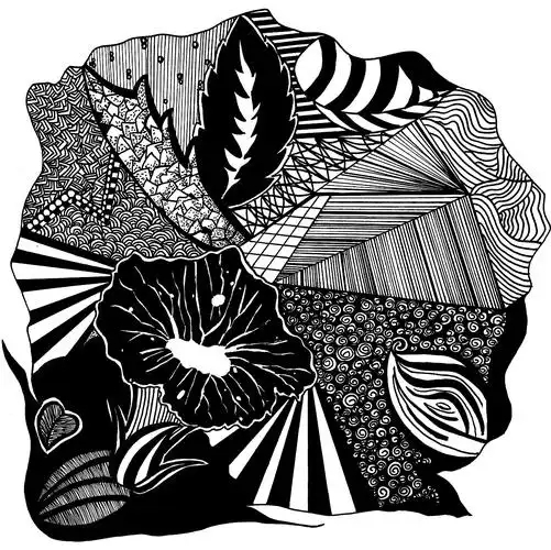 花卉变形|平面|图案|kareninesn_原创作品-站酷zcool