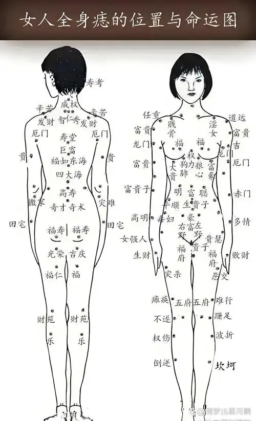 身上的痣长在哪里?有说法. ·1.下巴有痣,一定多才. ·2