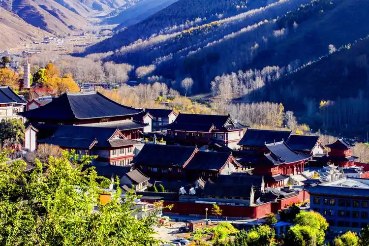 五台山环境优美,山高林密,物产丰富,民风淳朴,是旅游休闲的好去处.