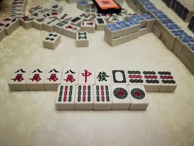 记录打麻将之我胡的那些神牌