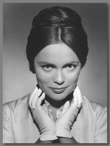 世界名人人像摄影集