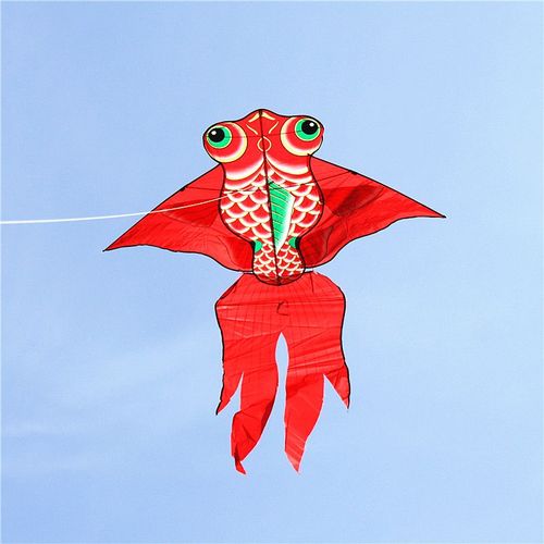新款潍坊烫金红金鱼风筝大金鱼儿童成人三角卡通风筝初学易飞网红