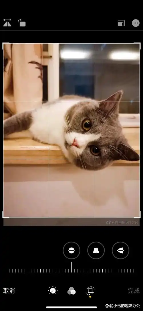 图片无痕去水印?不再为水印妥协!