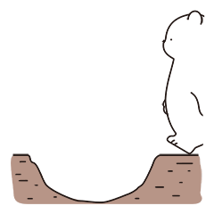 分享我使用的设备器材和见解