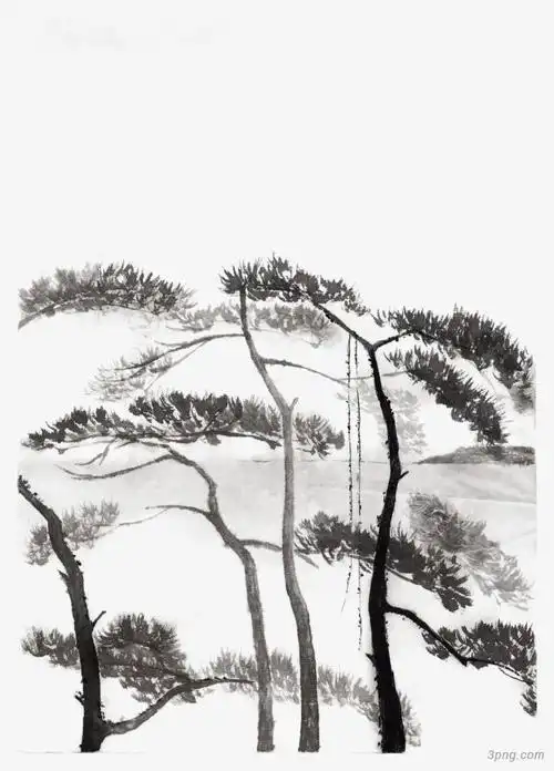 松树卡通雪松树积雪的松树卡通松树山水松树松树背景两棵松树手绘绿色