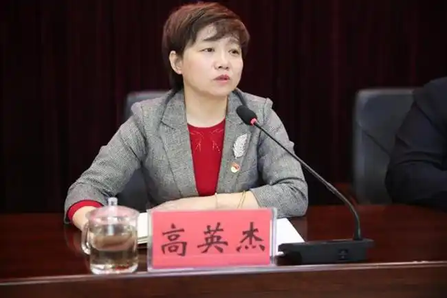 镇党委书记高英杰同志要求:一是镇村党员干部要严格遵守廉洁纪律和