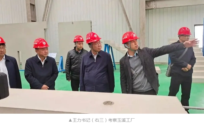 玉溪市市委书记王力一行莅临筑友集团玉溪绿色建筑科技园调研