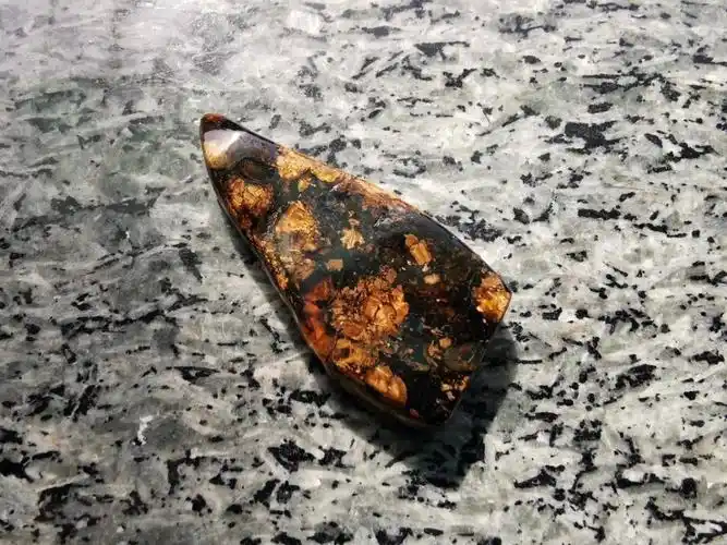 科普  #琥珀蜜蜡  #文玩  #化石  #抚顺 #自然