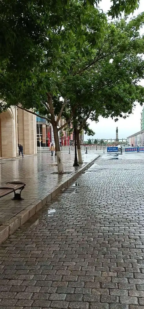 雨中行__哈尔滨中央大街