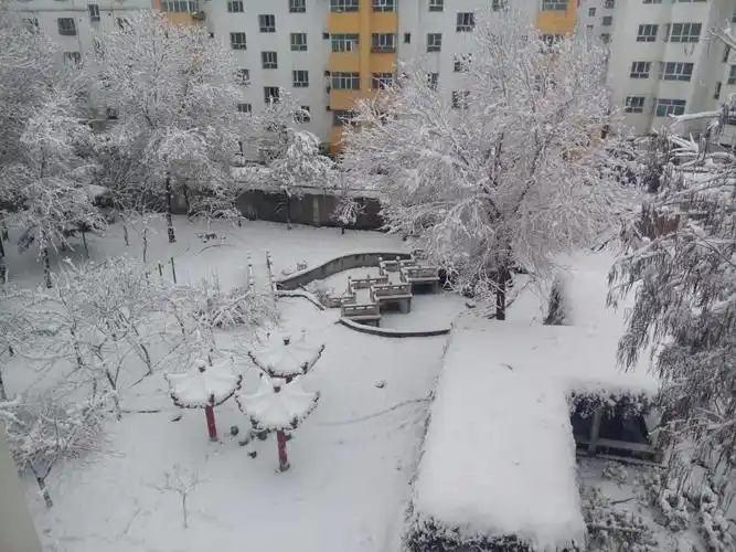 拍一张背景给我,我在马来西亚,从小到大没见过真实的下雪天.