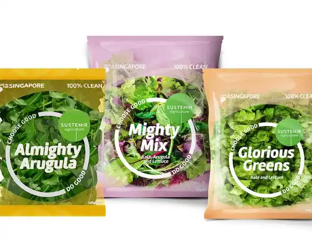 logovi系统有机蔬菜品牌logo及vi形象设计