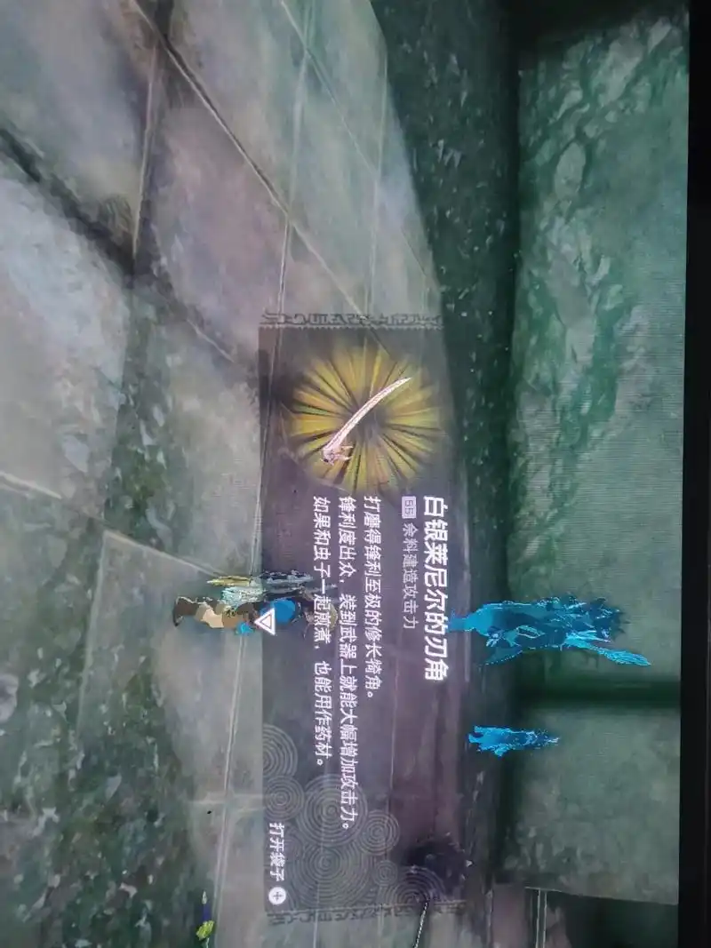 水上竞技场.#王国之泪 #塞尔达传说 第一次打白鬃人马得飞起 - 抖音