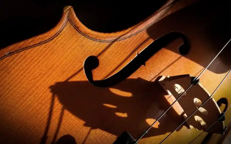 首页 其它 小提琴特写,音乐主题 壁纸 当前尺寸:1280x800,你可以点击