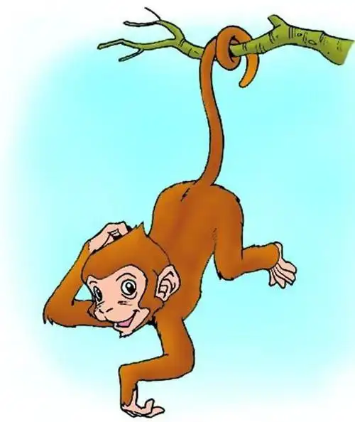 人类为什么没有尾巴?