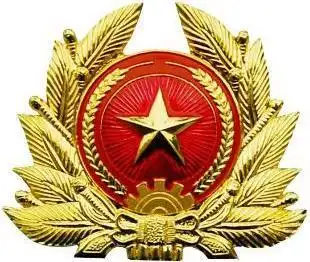 中南半岛上的弯弓——越南人民军简介