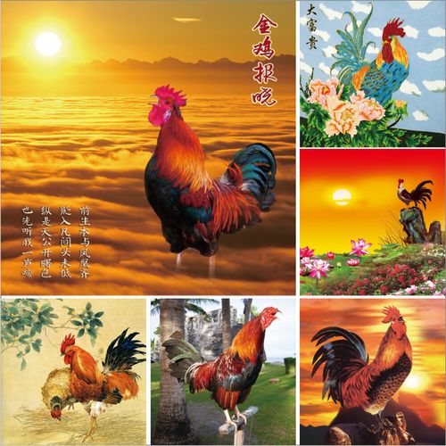 生肖大公鸡吉祥招财挂画金鸡报晓雄鸡图福禄客厅玄关风水装饰画