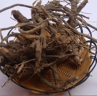 过饥草毛将军土丁桂福建省传统滋补品其他煲汤药材闽南特色一市斤