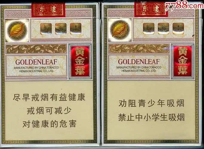 黄金叶乐途中支一对