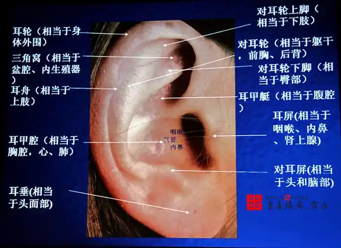 标题:【中医记录】北京周尔晋x形平衡法讲座_小儿推拿法_耳穴
