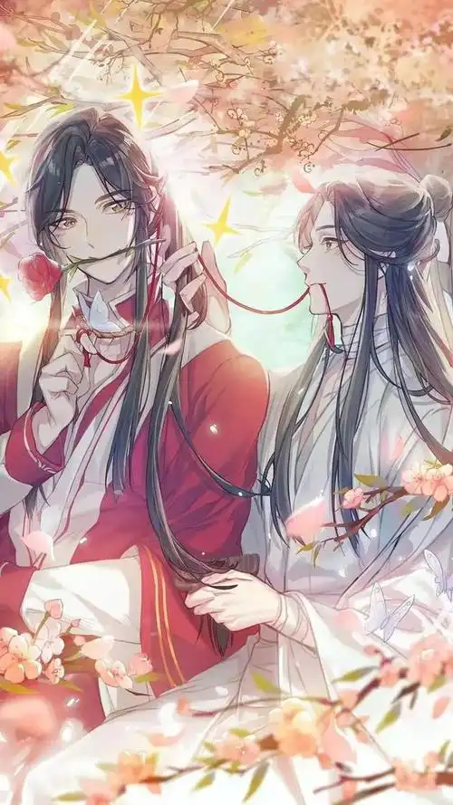 天官赐福  花城和谢怜