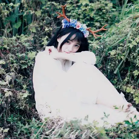 包邮!日韩森女花朵森系鹿角头饰发箍摄影道具麋鹿圣诞发饰头箍