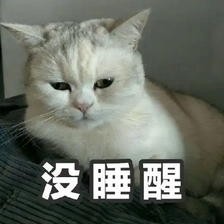 萌宠gif猫星人gif没睡醒gif困了gif呆萌gif可爱gif