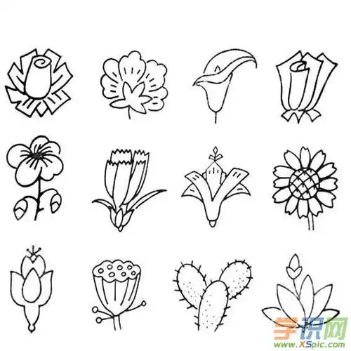 简笔画花的画法