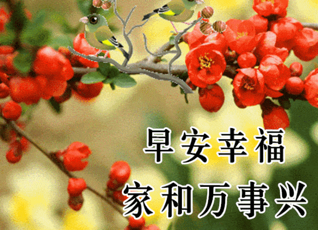 10月22日最漂亮早上好动态表情图片大全早晨好动图美图大全