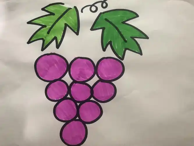 涂色—《葡萄》
